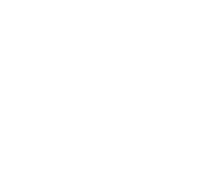 項(xiàng)目管理咨詢(xún)
